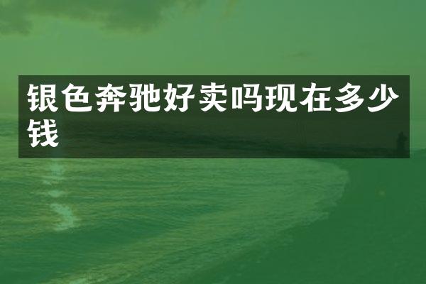 银色奔驰好卖吗现在多少钱