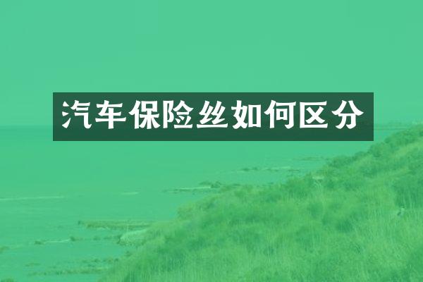 汽车保险丝如何区分