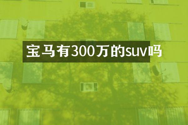 宝马有300万的suv吗