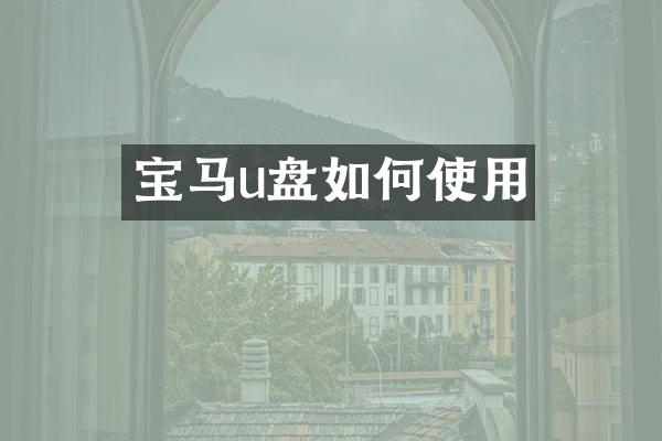 宝马u盘如何使用