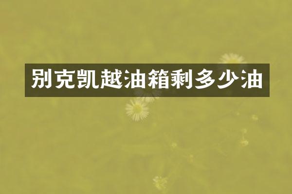 别克凯越油箱剩多少油