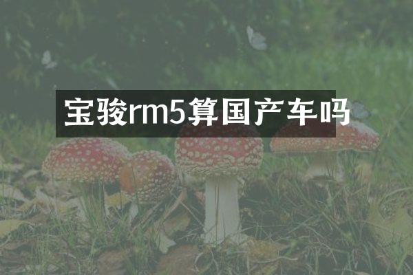 宝骏rm5算国产车吗