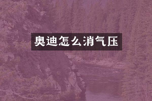 奥迪怎么消气压