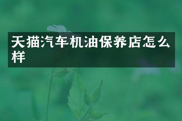 天猫汽车机油保养店怎么样