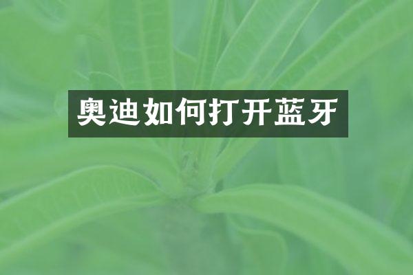 奥迪如何打开蓝牙