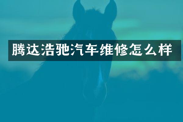 腾达浩驰汽车维修怎么样