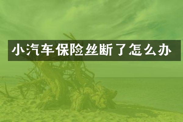 小汽车保险丝断了怎么办