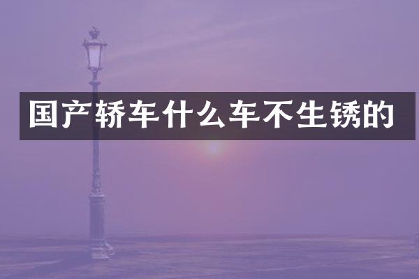国产轿车什么车不生锈的