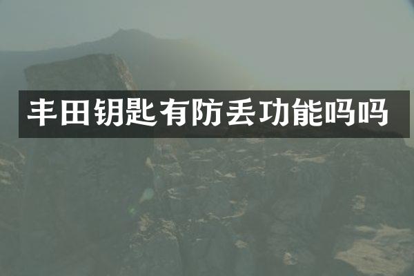 丰田钥匙有防丢功能吗吗