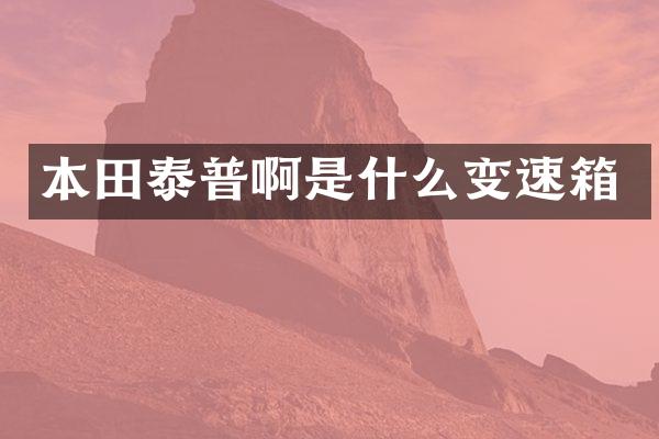 本田泰普啊是什么变速箱