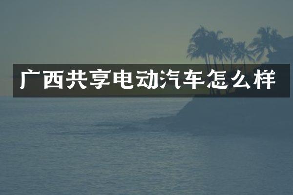 广西共享电动汽车怎么样