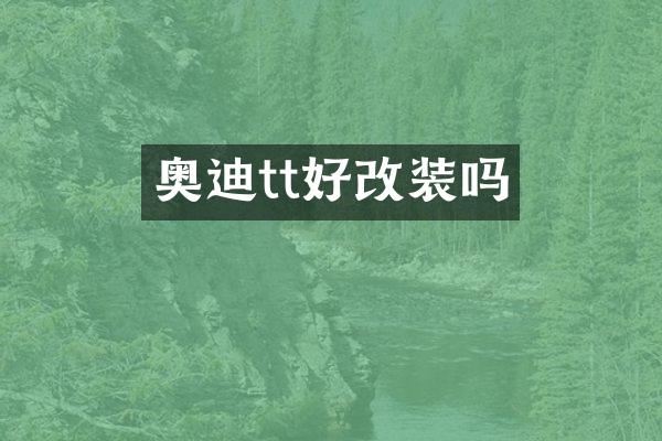 奥迪tt好改装吗
