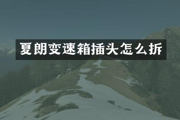 夏朗变速箱插头怎么拆