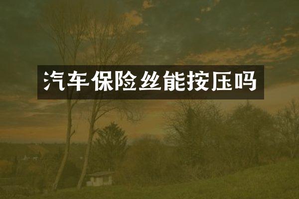 汽车保险丝能按压吗