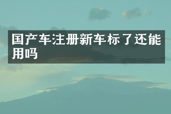 国产车注册新车标了还能用吗