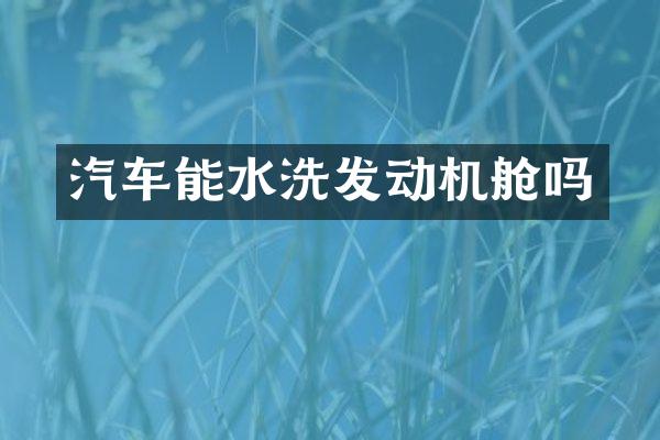 汽车能水洗发动机舱吗