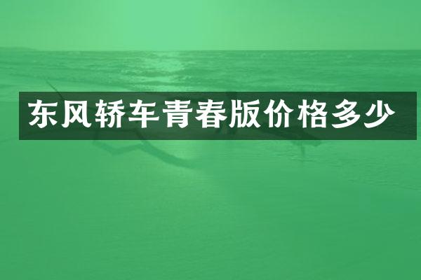 东风轿车青春版价格多少