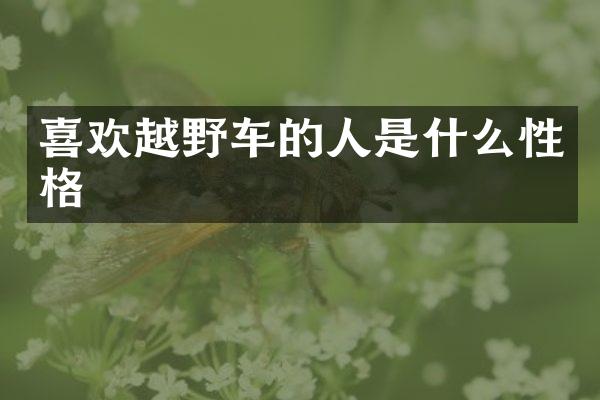 喜欢越野车的人是什么性格