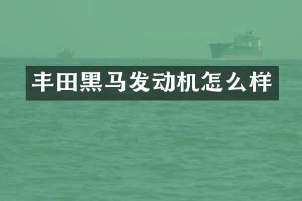 丰田黑马发动机怎么样