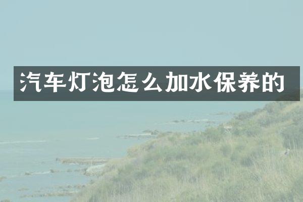汽车灯泡怎么加水保养的