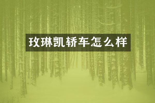 玫琳凯轿车怎么样