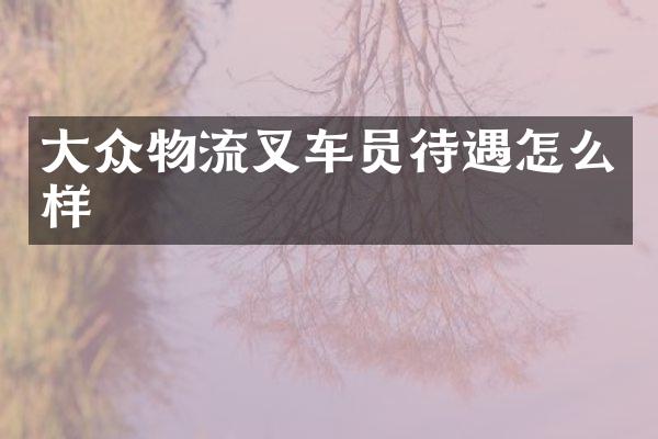 大众物流叉车员待遇怎么样