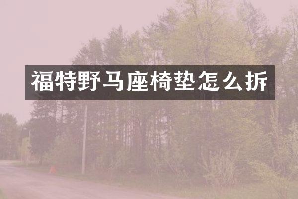 福特野马座椅垫怎么拆