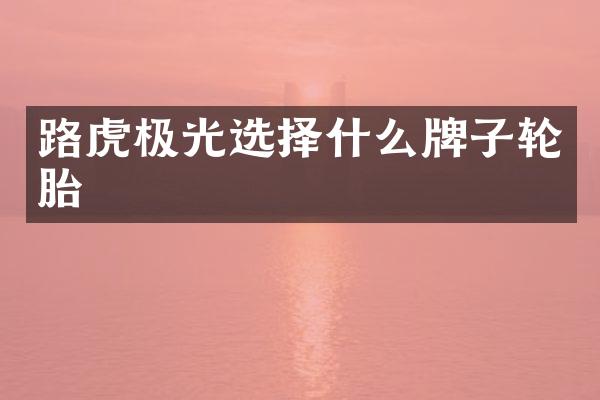 路虎极光选择什么牌子轮胎
