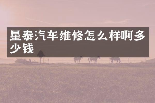 星泰汽车维修怎么样啊多少钱