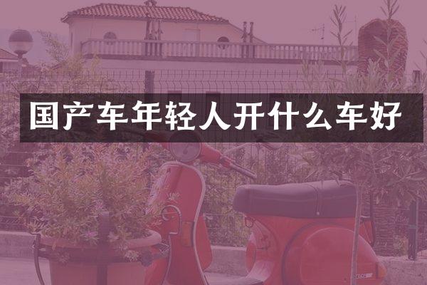 国产车年轻人开什么车好