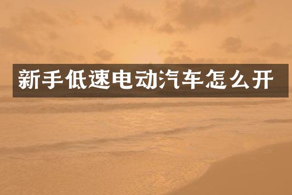 新手低速电动汽车怎么开