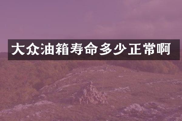 大众油箱寿命多少正常啊