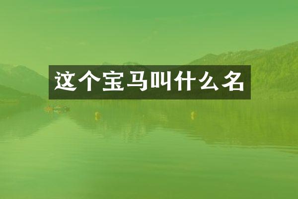 这个宝马叫什么名