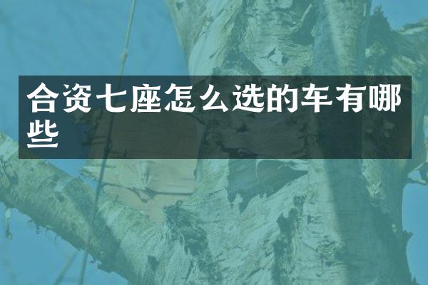 合资七座怎么选的车有哪些