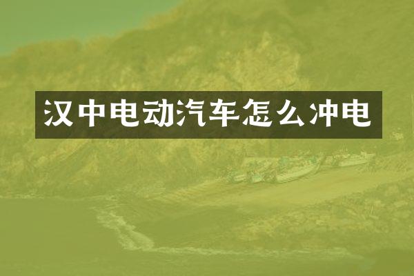 汉中电动汽车怎么冲电