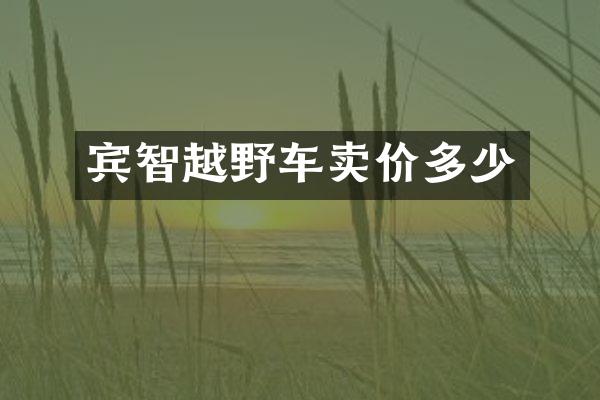 宾智越野车卖价多少