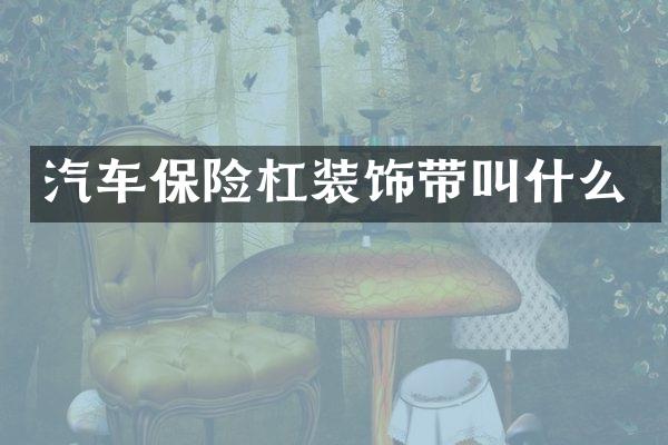 汽车保险杠装饰带叫什么