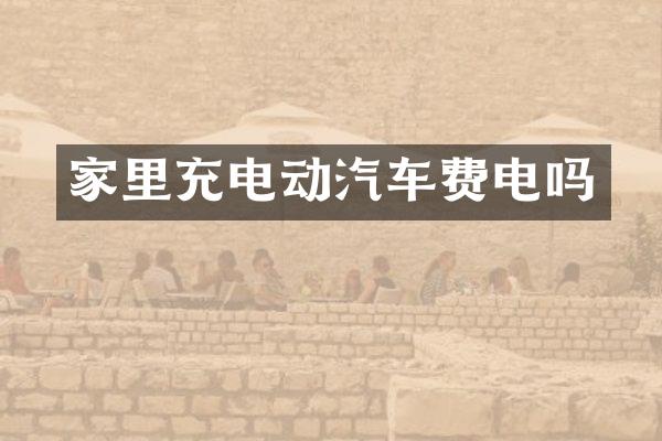 家里充电动汽车费电吗