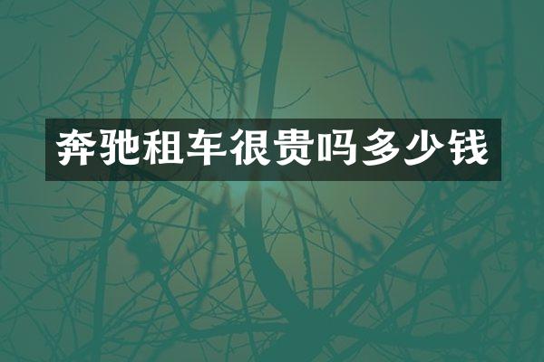 奔驰租车很贵吗多少钱