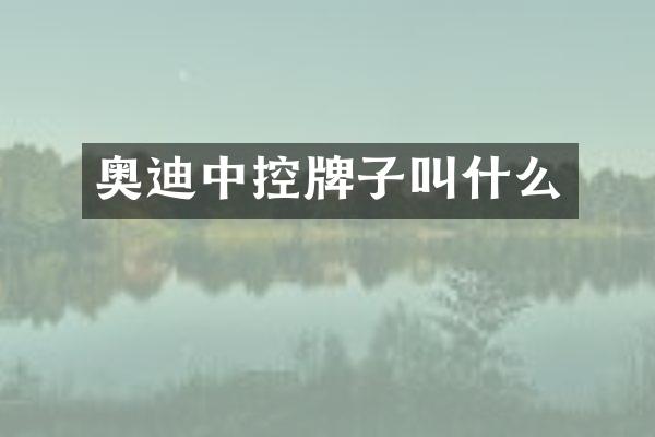 奥迪中控牌子叫什么