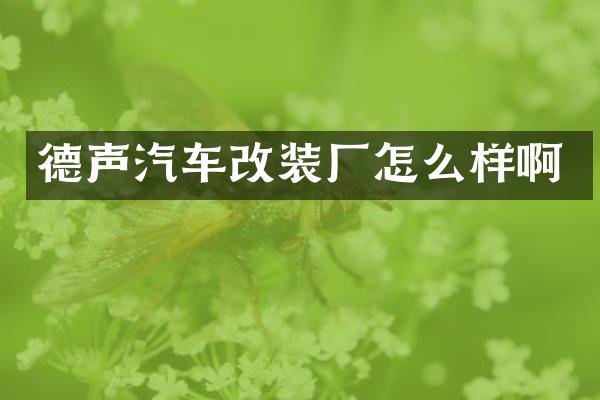 德声汽车改装厂怎么样啊