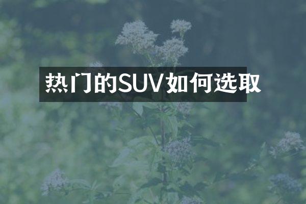 热门的SUV如何选取