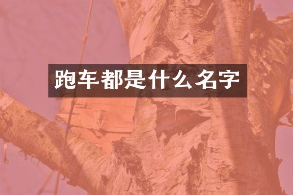 跑车都是什么名字