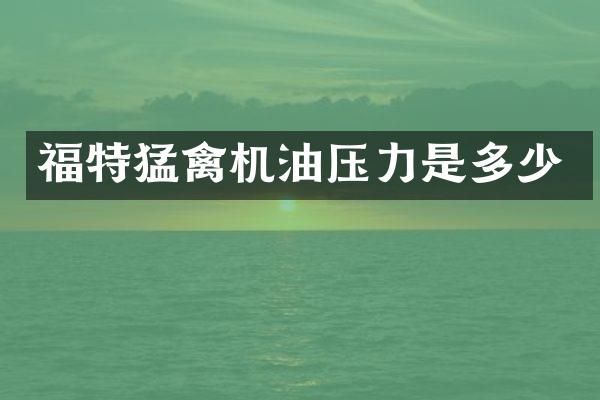 福特猛禽机油压力是多少