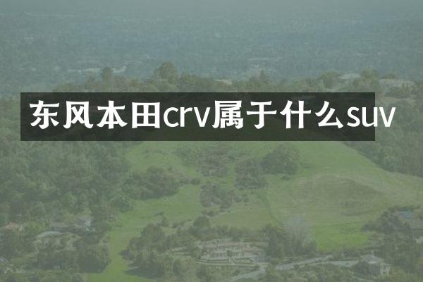 东风本田crv属于什么suv