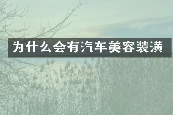 为什么会有汽车美容装潢
