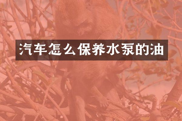 汽车怎么保养水泵的油