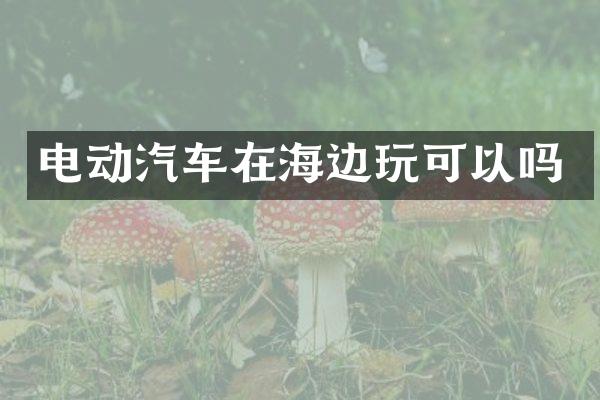 电动汽车在海边玩可以吗