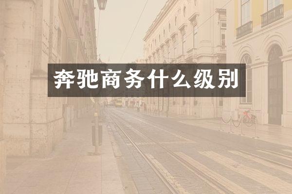 奔驰商务什么级别