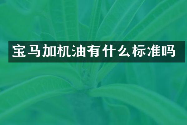 宝马加机油有什么标准吗